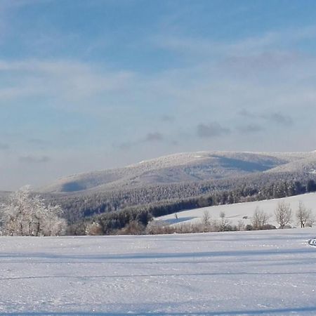 Rodinny Apartman 3+1 Horni Mesto Esterno foto