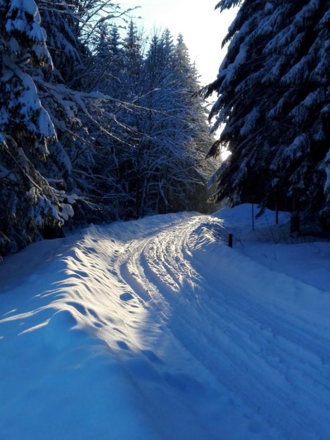 Rodinny Apartman 3+1 Horni Mesto Esterno foto