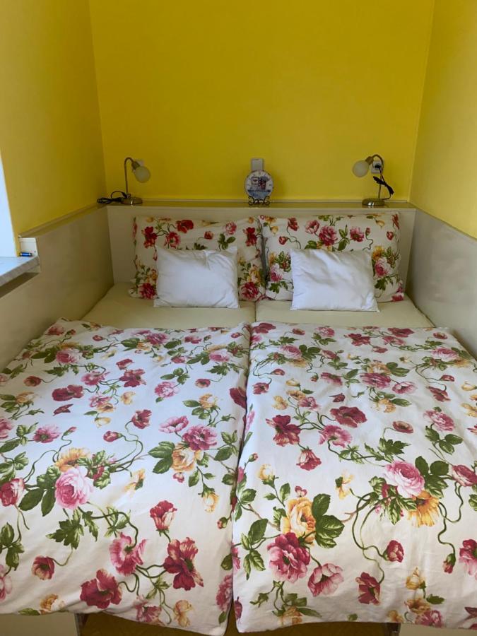 Rodinny Apartman 3+1 Horni Mesto Esterno foto