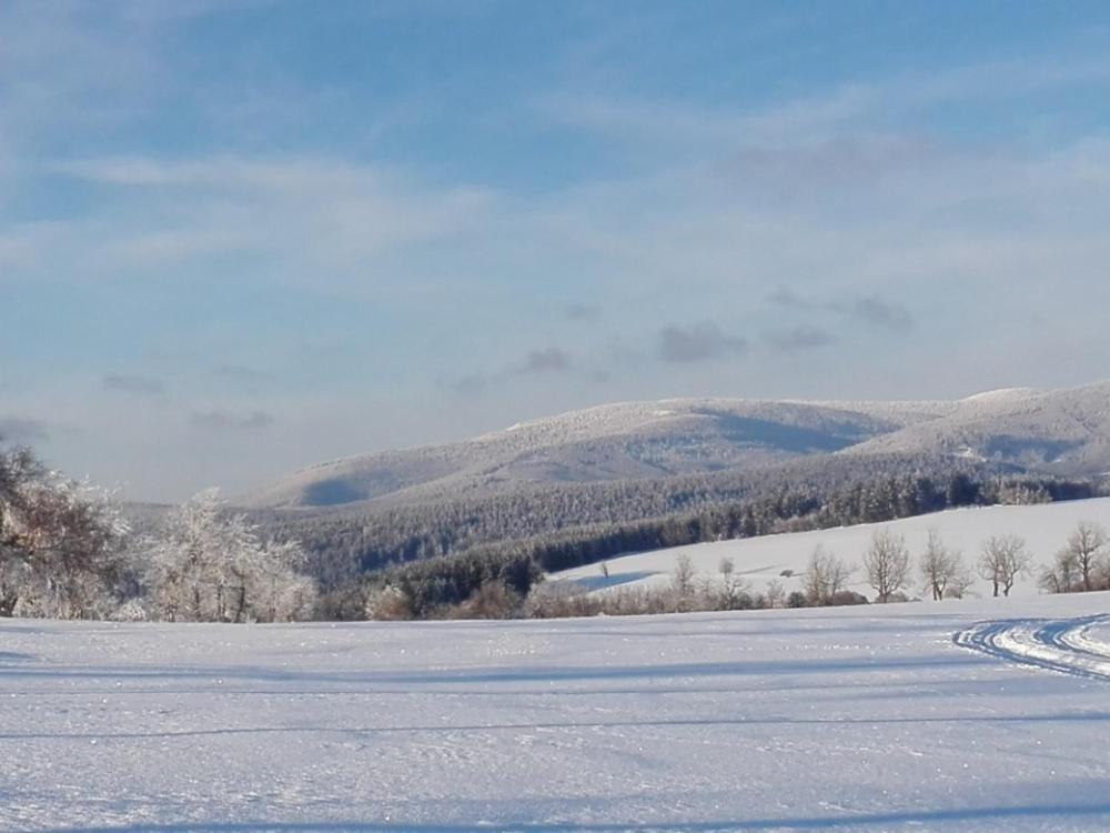 Rodinny Apartman 3+1 Horni Mesto Esterno foto